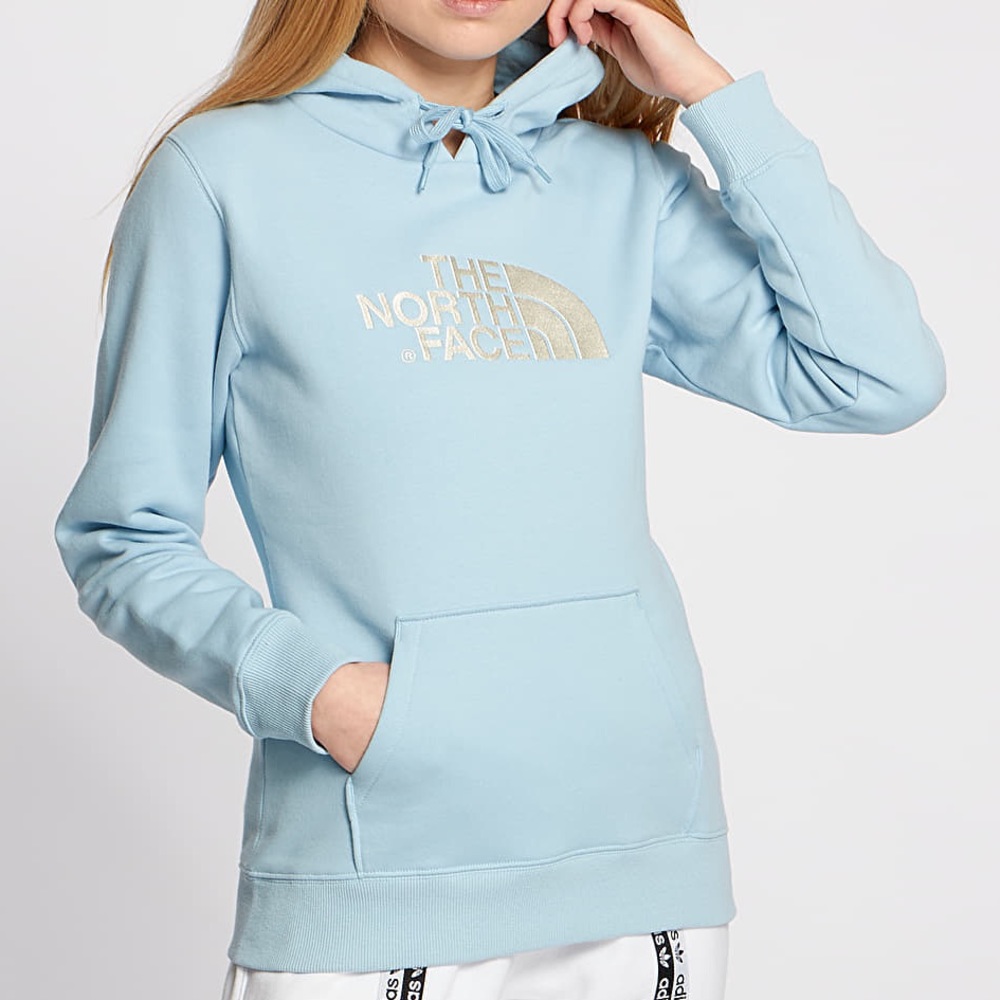 The North Face Silver Metallic Logo Hoodie Sweatshirt in Light Blue/Green